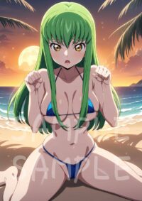c.c. シーツー コードギアス1016S