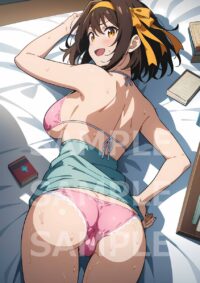 涼宮ハルヒ 涼宮ハルヒの憂鬱1019K