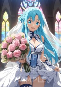 ソードアート・オンライン アスナ 結城明日奈101B2