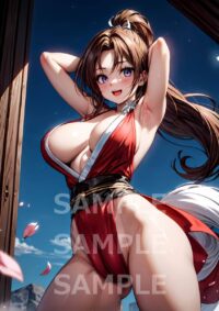 不知火舞 餓狼伝説 スト6 KOF101DL