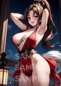 不知火舞 餓狼伝説 スト6 KOF101ED