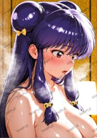 らんま1/2 シャンプー A4サイズ ポスター 高精細ポスター イラスト 同人 高品質 アニメ 79A8R