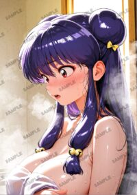 らんま1/2 シャンプー A4サイズ ポスター 高精細ポスター イラスト 同人 高品質 アニメ 79A9M
