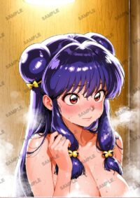 らんま1/2 シャンプー A4サイズ ポスター 高精細ポスター イラスト 同人 高品質 アニメ 79AC8